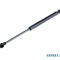 Amortizor hayon Toyota Hilux ( 02.2005-&gt;)[_N1_,_N2_,_N3_] #1