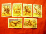 Serie mica Tanzania 1991 - Fauna - Elefanti , 6 val. stampilate