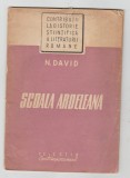 bnk ant N David - Scoala ardeleana
