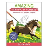 Amazing Painting by Numbers