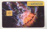 bnk card Cartele telefonice - Cehia 1996 - fauna marina