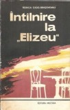 Intalnire la "Elizeu" - Rodica Ojog Brasoveanu