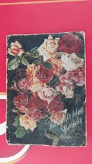 INDRUMATOR TEHNIC SI CATALOG PENTRU FOLOSIREA MATERIALULUI SADITOR ORNAMENTAL