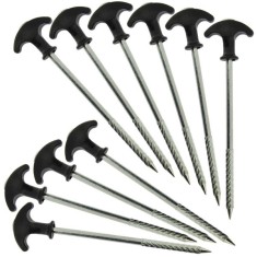 Set 10 cuie cort + husa, 20cm. - NGT