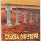 CRUCEA DIN STEPA - POEME DE RASBOIU de RADU GYR , 2016