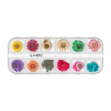 Cumpara ieftin Flori Uscate Unghii LUXORISE - Flower Dream, 12 modele