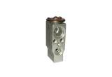Supapa expansiune clima , RapidAuto 55A1KZ-1