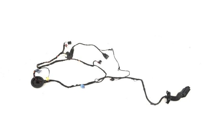 Cablaj ușă dreapta față AUDI TT FV3 2018 OEM: 8S0971029M 10779293