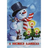 A h&oacute;ember aj&aacute;nd&eacute;ka - Radv&aacute;ny Zsuzsa