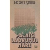 Paznici la drumul mare