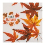 Servetele de Masă Toamnă 2 Straturi cu Model Frunze Portocalii \"Hello Autumn\", CMCLASS