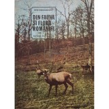 Ion Simionescu - Din fauna si flora Romaniei (Editia: 1981)