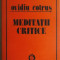 Ovidiu Cotrus - Meditatii critice, 1983