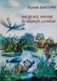 Hai si Noi, Hai-Hui in Vacante la Pagui - Ioana Diaconu, Radu Olteanu, Universitas XXI, 2003, Carte Povesti Copii, 52 pagini