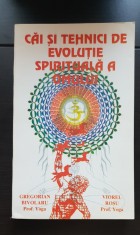 Căi și tehnici de evoluție spirituală a omului - Gregorian Bivolaru, Viorel Roșu foto
