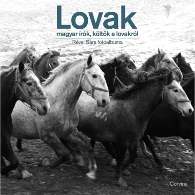 Lovak - Magyar &amp;iacute;r&amp;oacute;k, k&amp;ouml;ltők a lovakr&amp;oacute;l - R&amp;eacute;vai S&amp;aacute;ra fot&amp;oacute;albuma foto