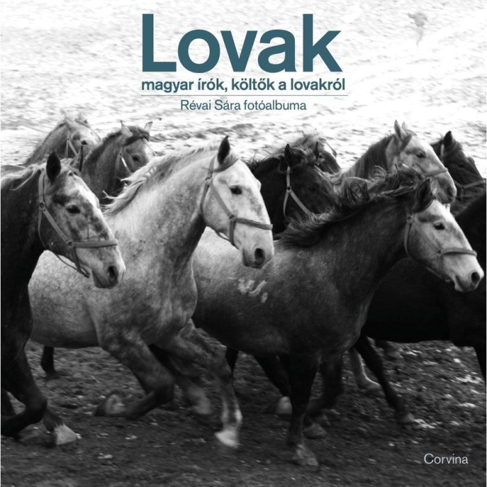 Lovak - Magyar &iacute;r&oacute;k, k&ouml;ltők a lovakr&oacute;l - R&eacute;vai S&aacute;ra fot&oacute;albuma
