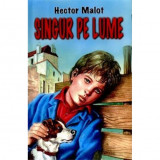 Singur Pe Lume - Hector Malot, herra