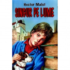 Singur Pe Lume - Hector Malot foto