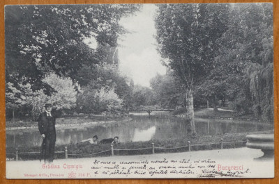 Carte postala clasica , Gradina Cismigiu , 1906 foto