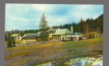 CPIB 17278 CARTE POSTALA - POIANA BRASOV, HOTEL SPORT