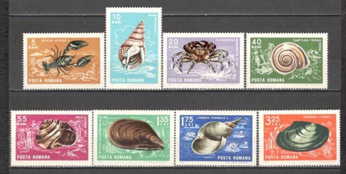 Romania.1966 Crustacee si moluste DR.147