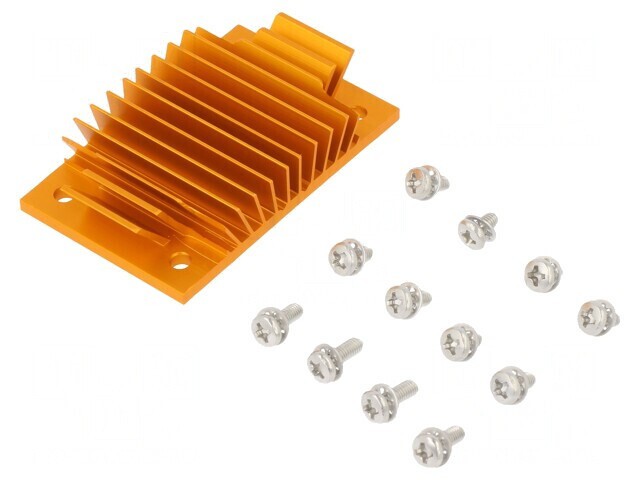 Radiator extrudat cu aripioare BGA aurie 37mm x 58mm