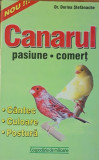 DORINA STEFANACHE - CANARUL: PASIUNE, COMERȚ