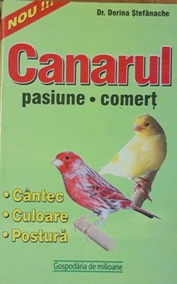 DORINA STEFANACHE - CANARUL PASIUNE COMERT foto