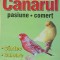 DORINA STEFANACHE - CANARUL PASIUNE COMERT