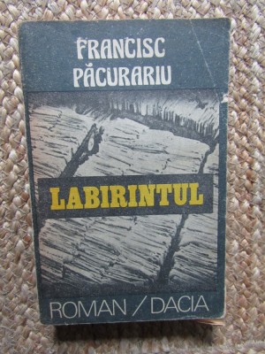 FRANCISC PACURARIU - LABIRINTUL foto