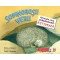 Somnorosii verii. Animale care estiveaza, Melissa Stewart, ill. Sarah S. Brannen