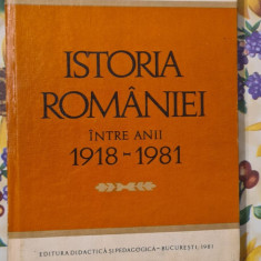 Aron Petric Istoria Romaniei intre 1981-1981