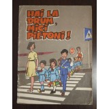 Hai la drum, mici pietoni! Culegere de povestiri, poezii... (1974)