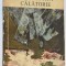 O minunata calatorie - Enrico Emanuelli
