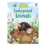 Underground Animals