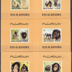 DB1 Fauna Ras al Khaima Maimute 6 SS de lux MNH