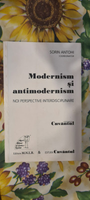 MODERNISM SI ANTIMODERNISM - SORIN ANTOHI foto