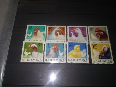 TIMBRE ROMANIA LP 560 PASARI DE RASA 1963 foto