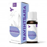 Ulei esențial integral de ravintsara, 10 ml, Bionovativ