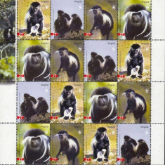 WWF ANGOLA 2004 Maimute ANGOLAN COLOBUS-Coala cu 4 serii de cate 4 timbre MNH