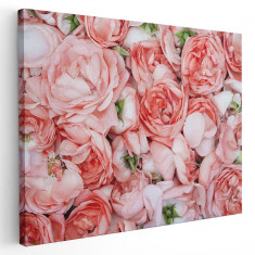 Tablou flori trandafiri roz Tablou canvas pe panza CU RAMA 20x30 cm foto