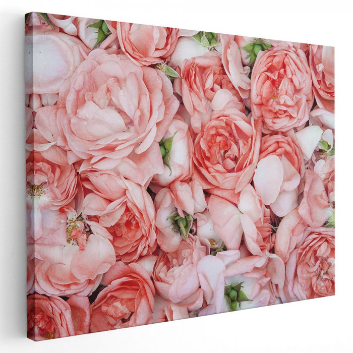 Tablou flori trandafiri roz Tablou canvas pe panza CU RAMA 80x120 cm