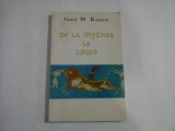 DE LA MYTHOS LA LOGOS - IOAN N. ROSCA