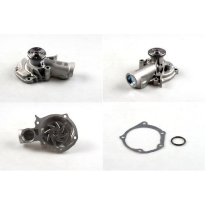 Pompa apa Hepu P7554 foto