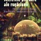 Secretele Pierdute Ale Rugaciunii ,Gregg Braden - Editura For You