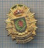 AX 894 INSIGNA - POLITIE -POLICIA LOCAL -COSLADA -SPANIA -PENTRU COLECTIONARI