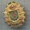 AX 894 INSIGNA - POLITIE -POLICIA LOCAL -COSLADA -SPANIA -PENTRU COLECTIONARI