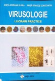 VIRUSOLOGIE - LUCRARI PRACTICE-ANITA ADRIANA ELENA, ANITA DRAGOS CONSTANTIN-344830