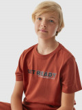 Tricou cu imprimeu pentru băieți - bordo, 4F Sportswear